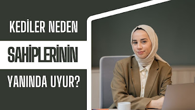 Kediler Neden Sahiplerinin Yanında Uyur?